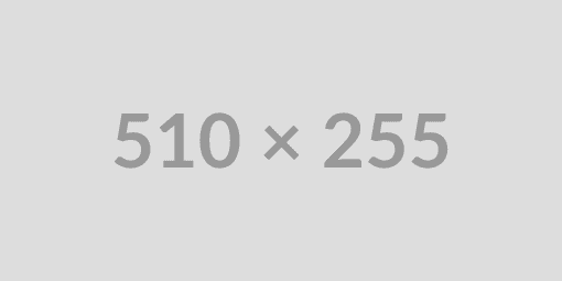 새로운 동아리 동아리 사진